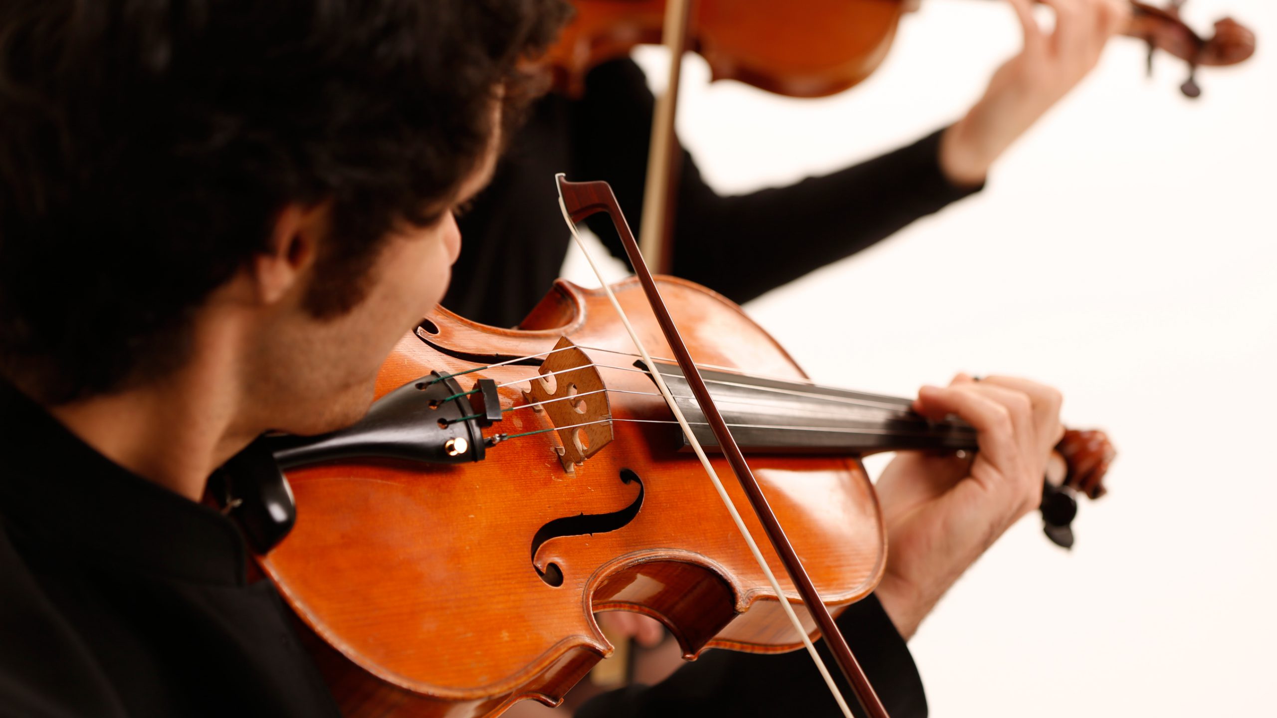 Orchestras in Germany belong to the Intangible Cultural Heritage.